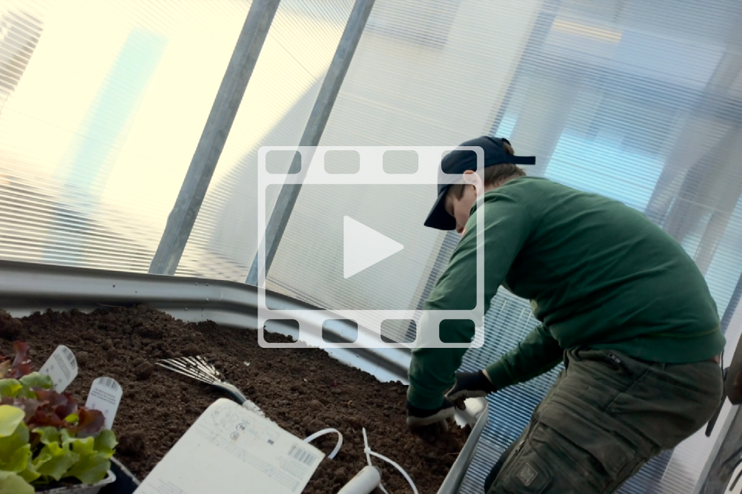 VGL NRW Galabau Projekt-Schulbeet im Franken Gymnasium im März 2026, klicken um Video abzuspielen