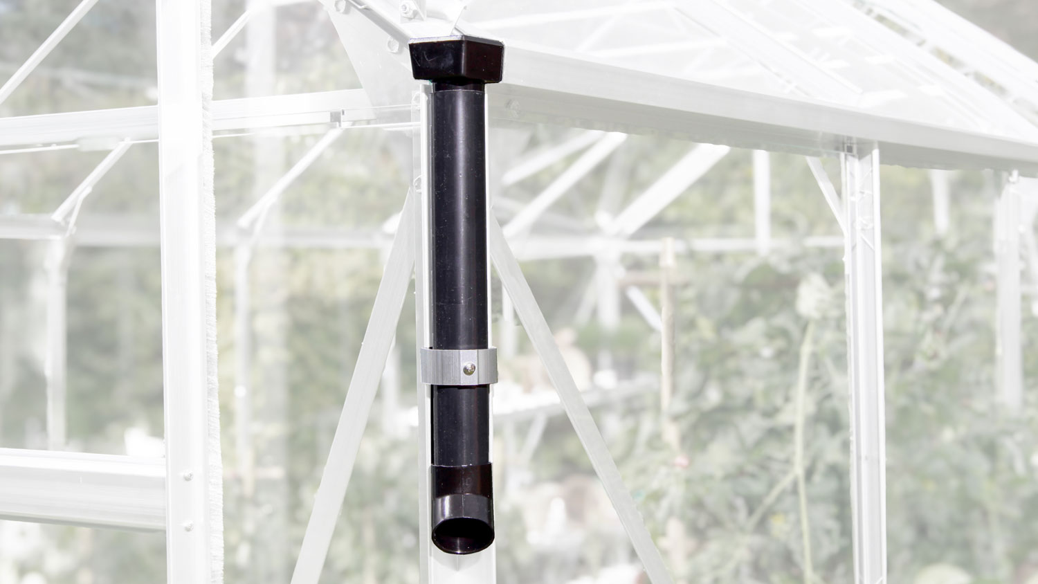 Gewächshaus-Set Mardi 11500, verglast mit: Hohlkammerplatten (HKP)