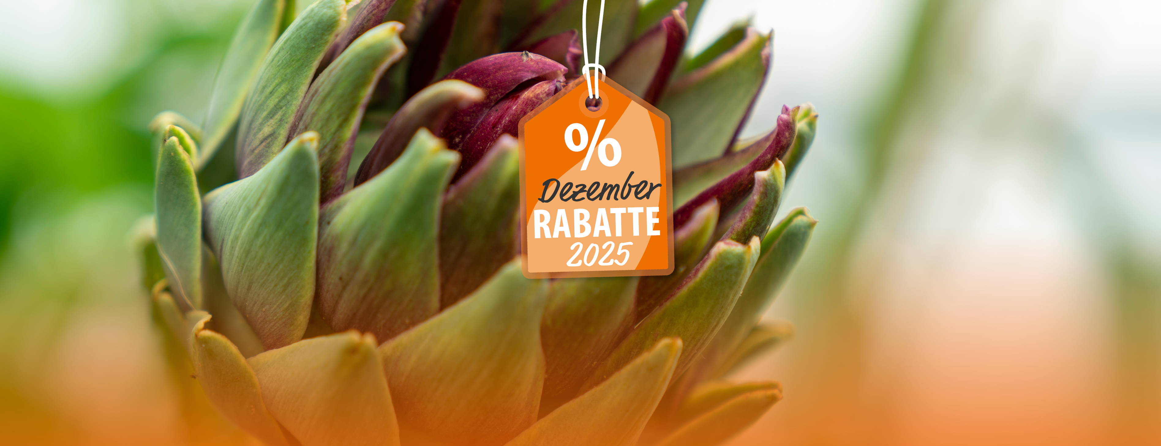 Ordnung & Wachstum zum Vorteilspreis – % im Dezember