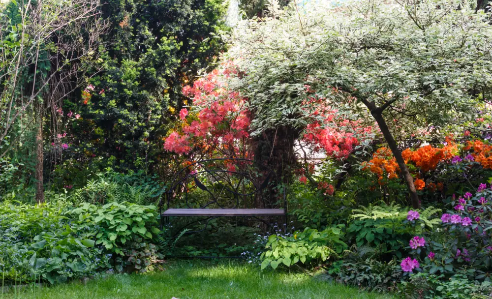 Garten gestalten: Von der klugen Zonenplanung zum blühenden Traumgarten