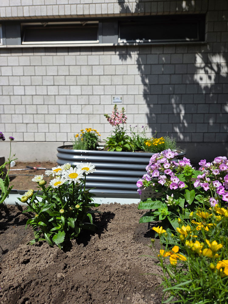 fertiger Schulgarten mit blühenden Sträuchern, frischer Erde und Vitavia Hochbeet in Granit