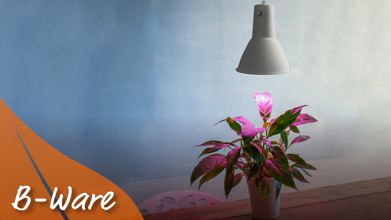 Pflanzenleuchte Pergart