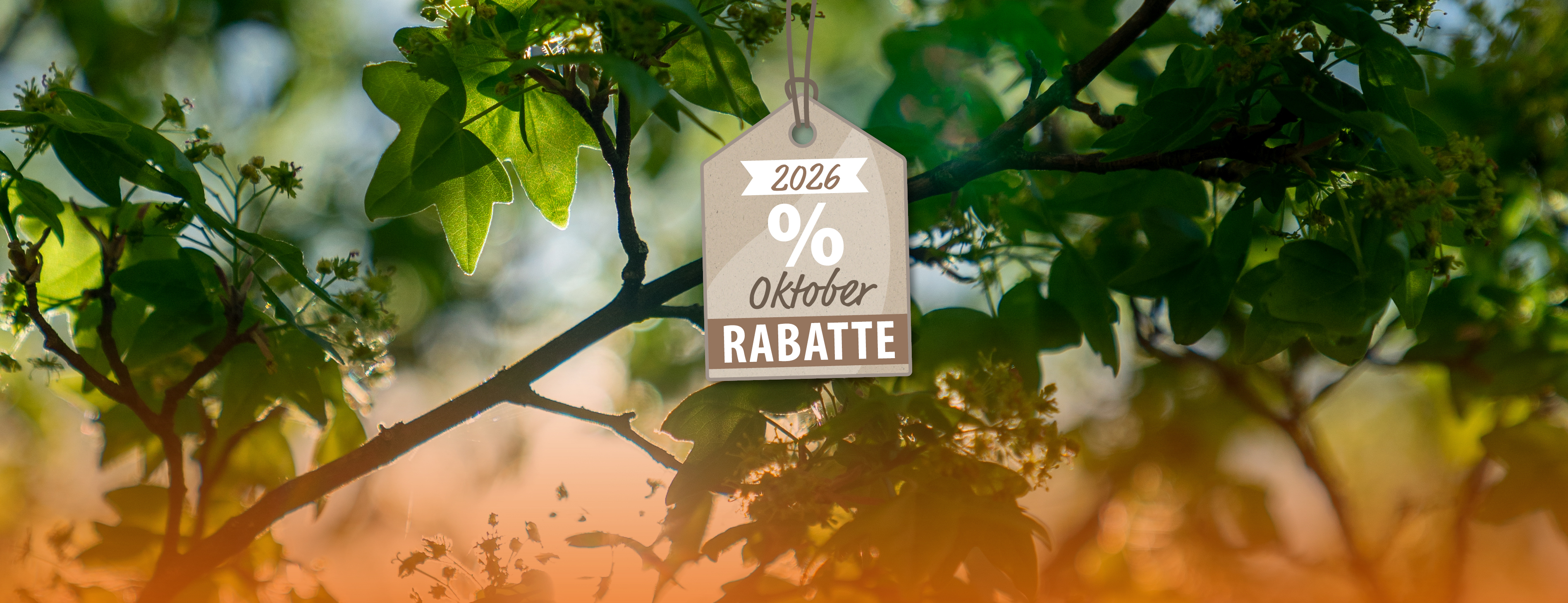 Jetzt wird aufgeräumt: Oktober-Rabatte