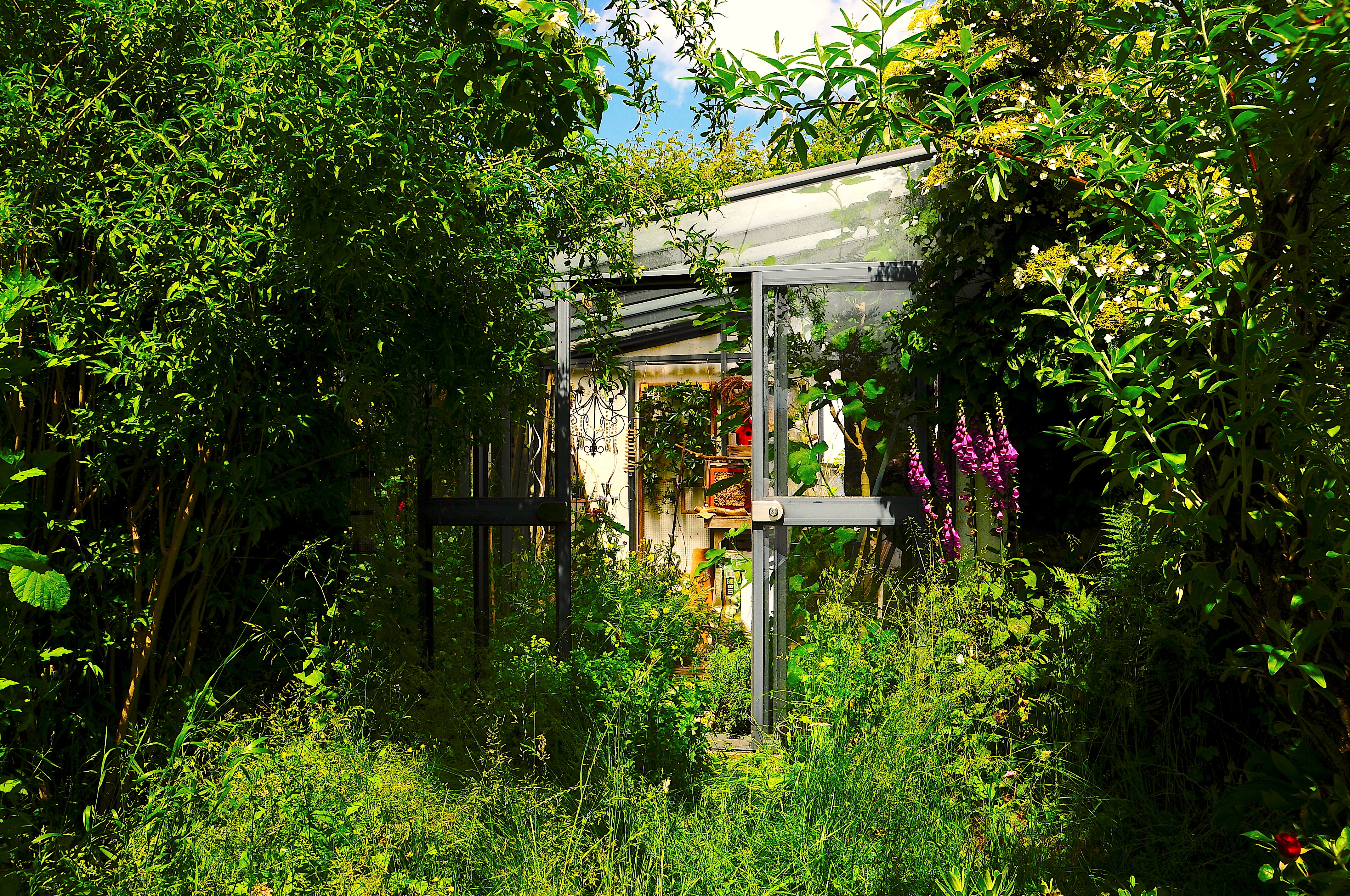 Eintrag zum Vitavia Fotowettbewerb 2022, Platz 2, Schmude. Das Foto zeigt EIn Anlehngewächshaus von Vitavia n einem üppig grünen Garten