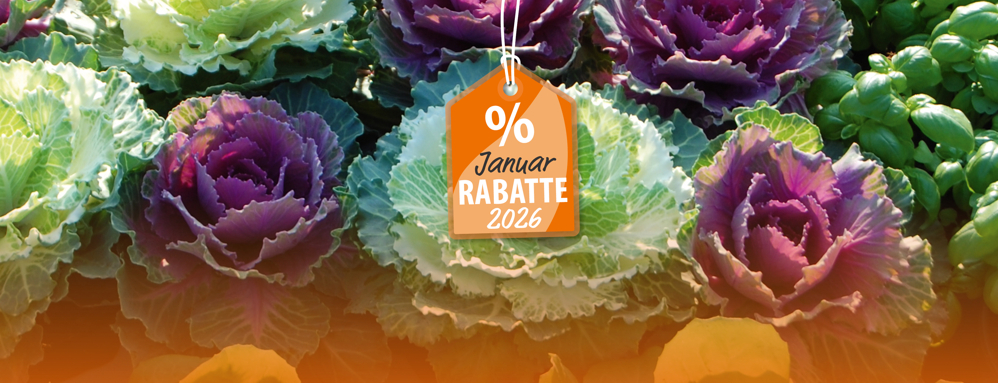 Angebote im Januar: Frohes Neues Gartenjahr!