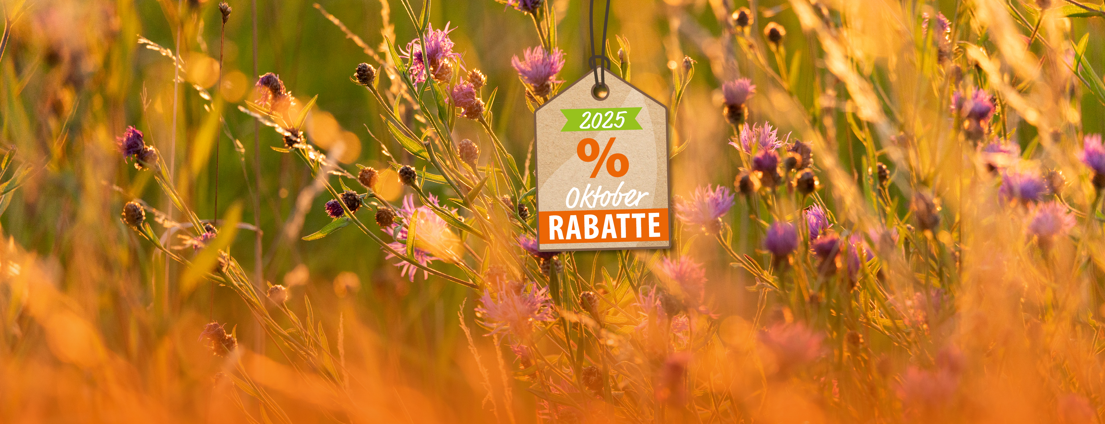 Header Banner-Aktion Oktober 2025