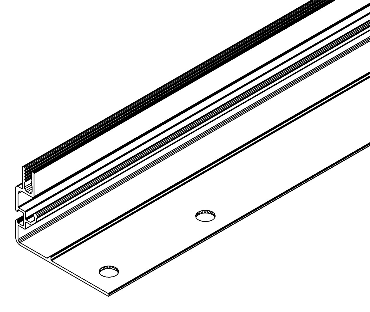 Türprofil, senkrecht, 2083, L1977, black, Pantone-, Farbe: Schwarz