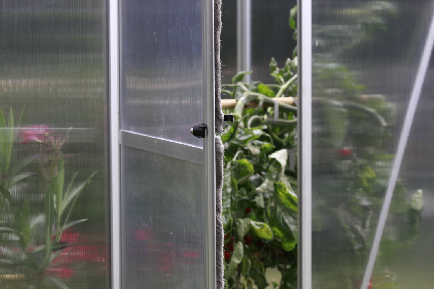 Detailaufnahme: Gewächshaus Tirton Modellgrößen 2500-7500 Schwingtür