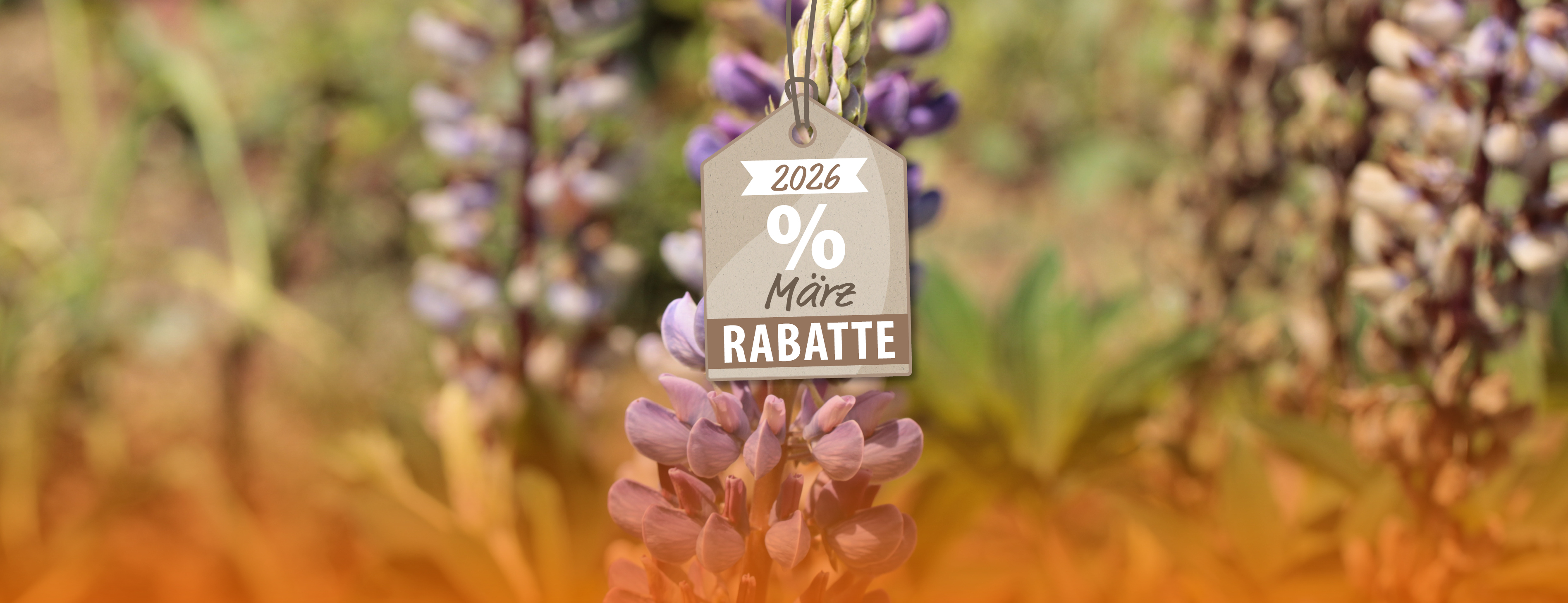 März-Angebote: Startklar für die Gartensaison