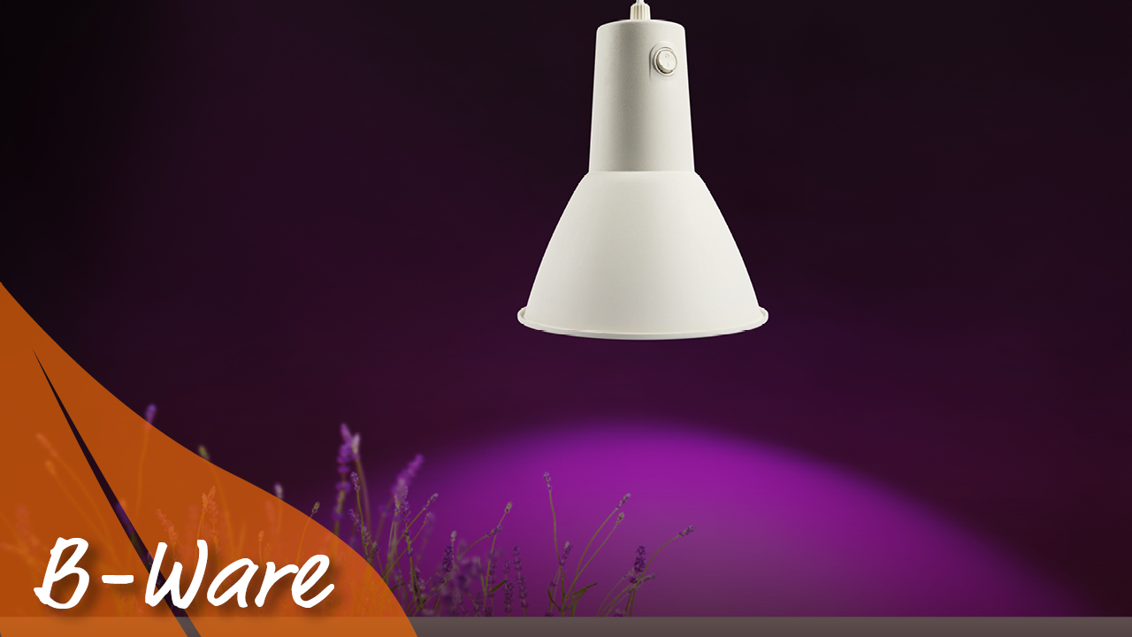 Pflanzenleuchte Pergart