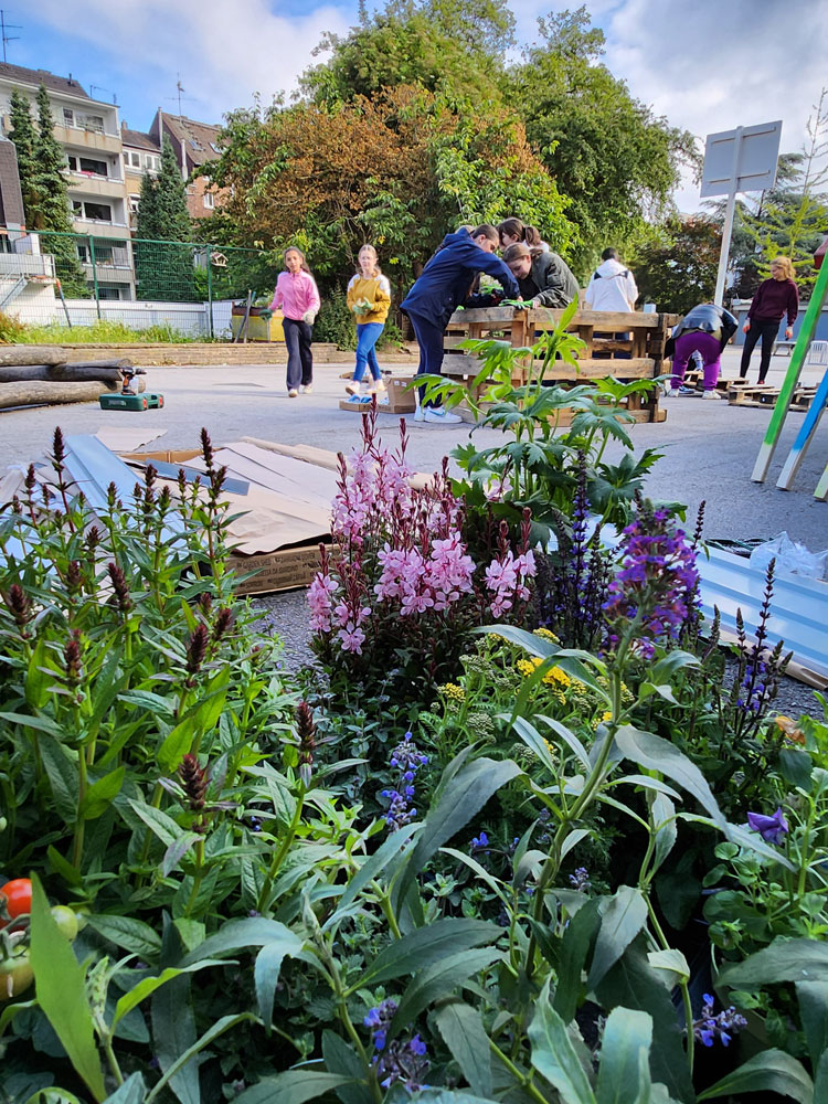Schulgartenbau auf Schulhof, Vordergrund: Hochbeet mit Blüten, Hintergrund: Schulhof mit Kindern die beim Aufbau helfen