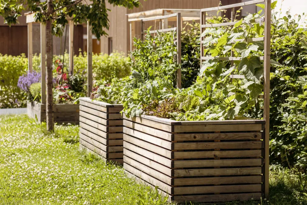 Sichtschutz-Ideen für Garten & Balkon