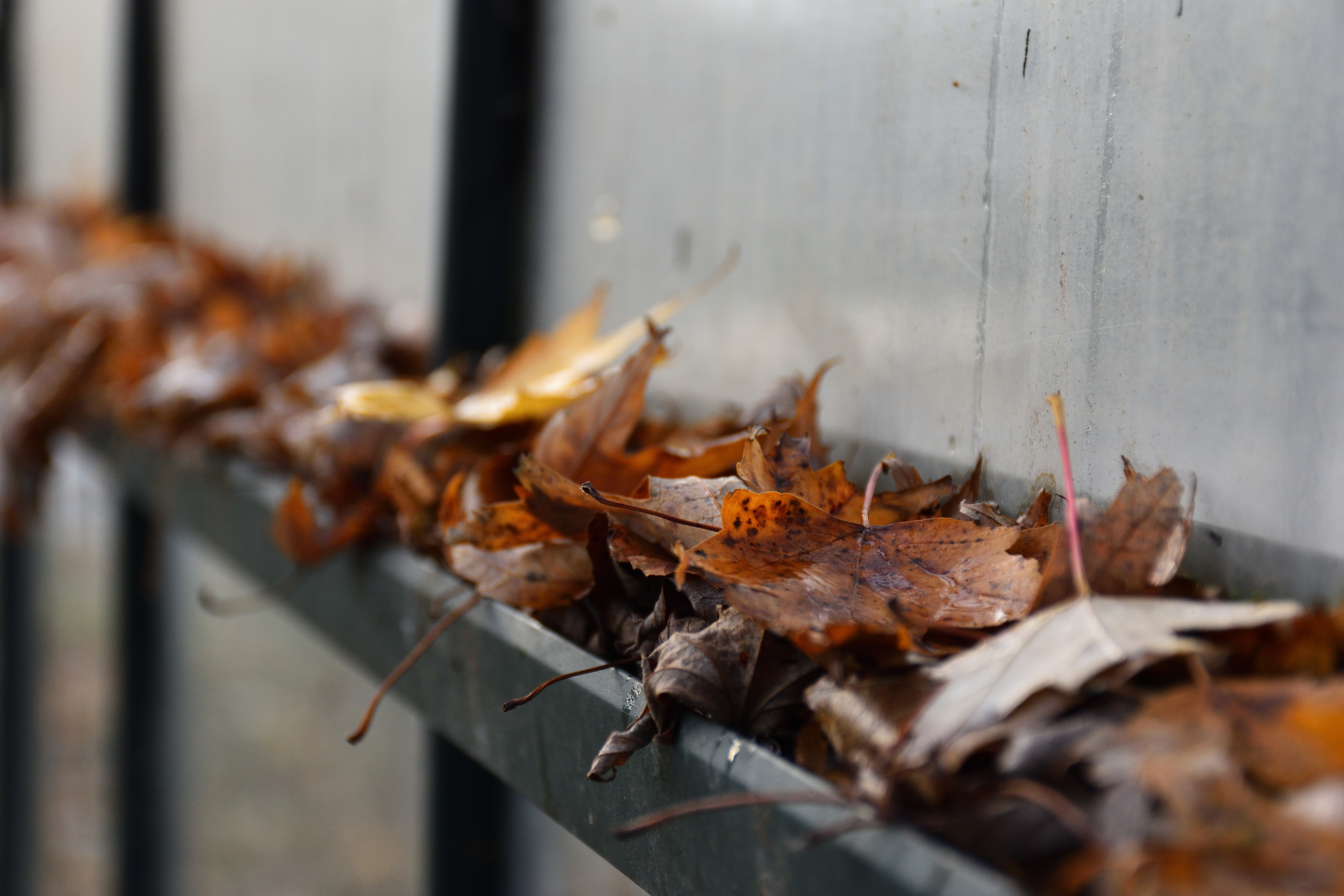 Wie bereite ich mein Gewächshaus auf die kommende Saison vor?