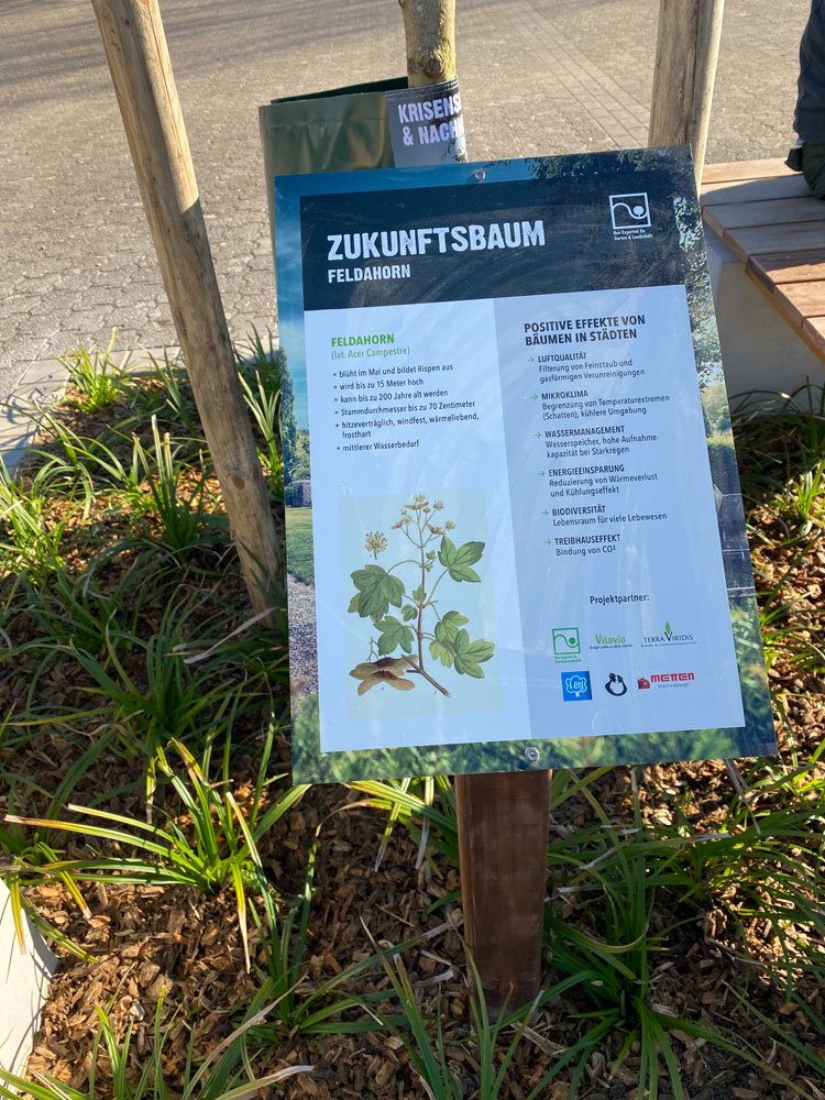 Schulgartenprojekt in Am Gymnasium in Neuss, Tafel mit Beschreibung zum Schulgarten und dessen Pflanzen