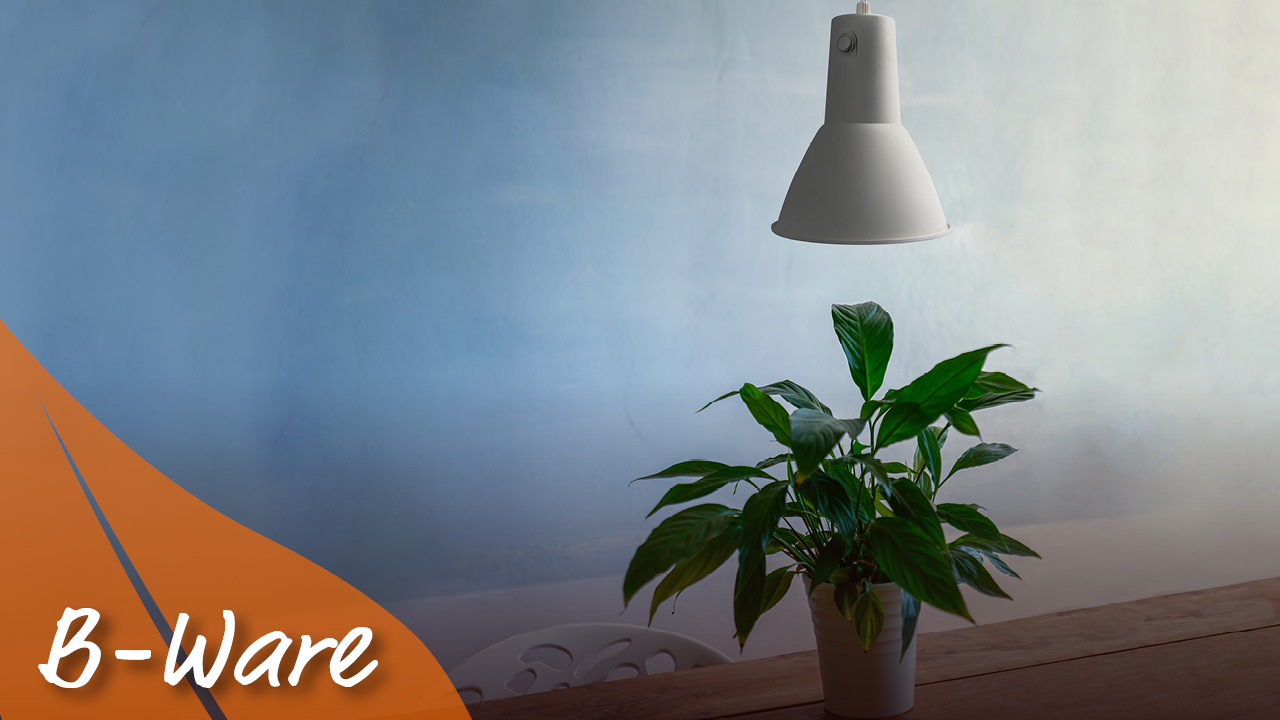 Pflanzenleuchte Pergart