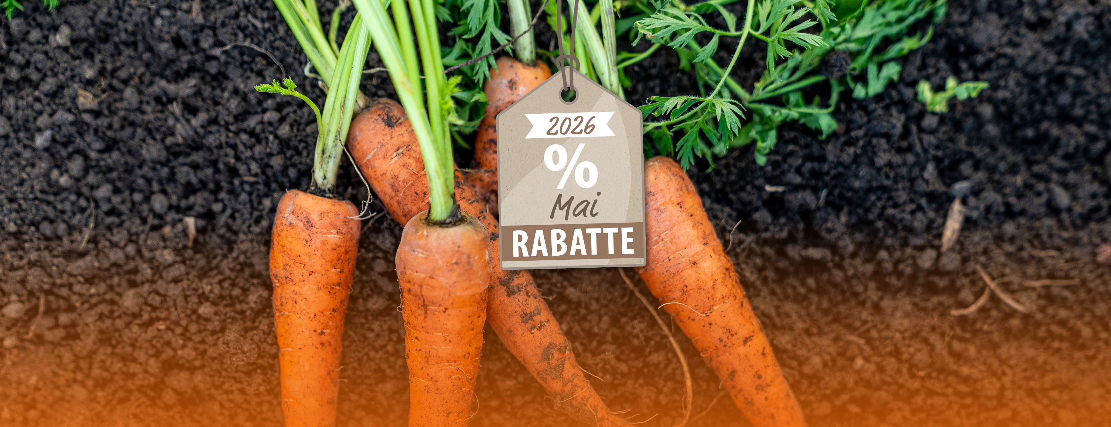 Laue Sommerabende in der eigenen Orangerie