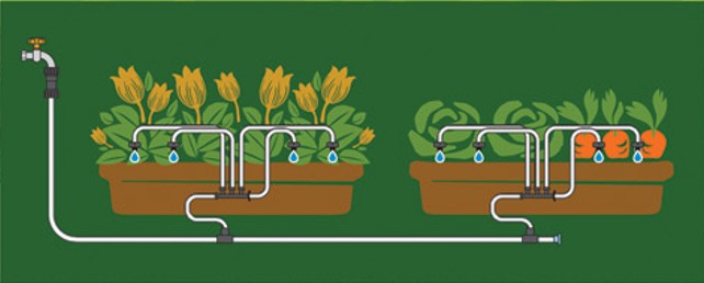 CDK12 Bewässerungssystem
