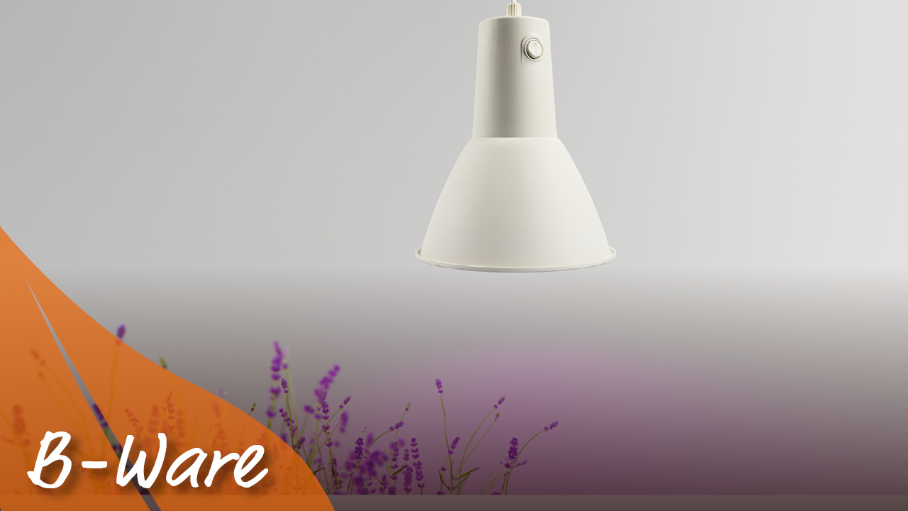 Pflanzenleuchte Pergart