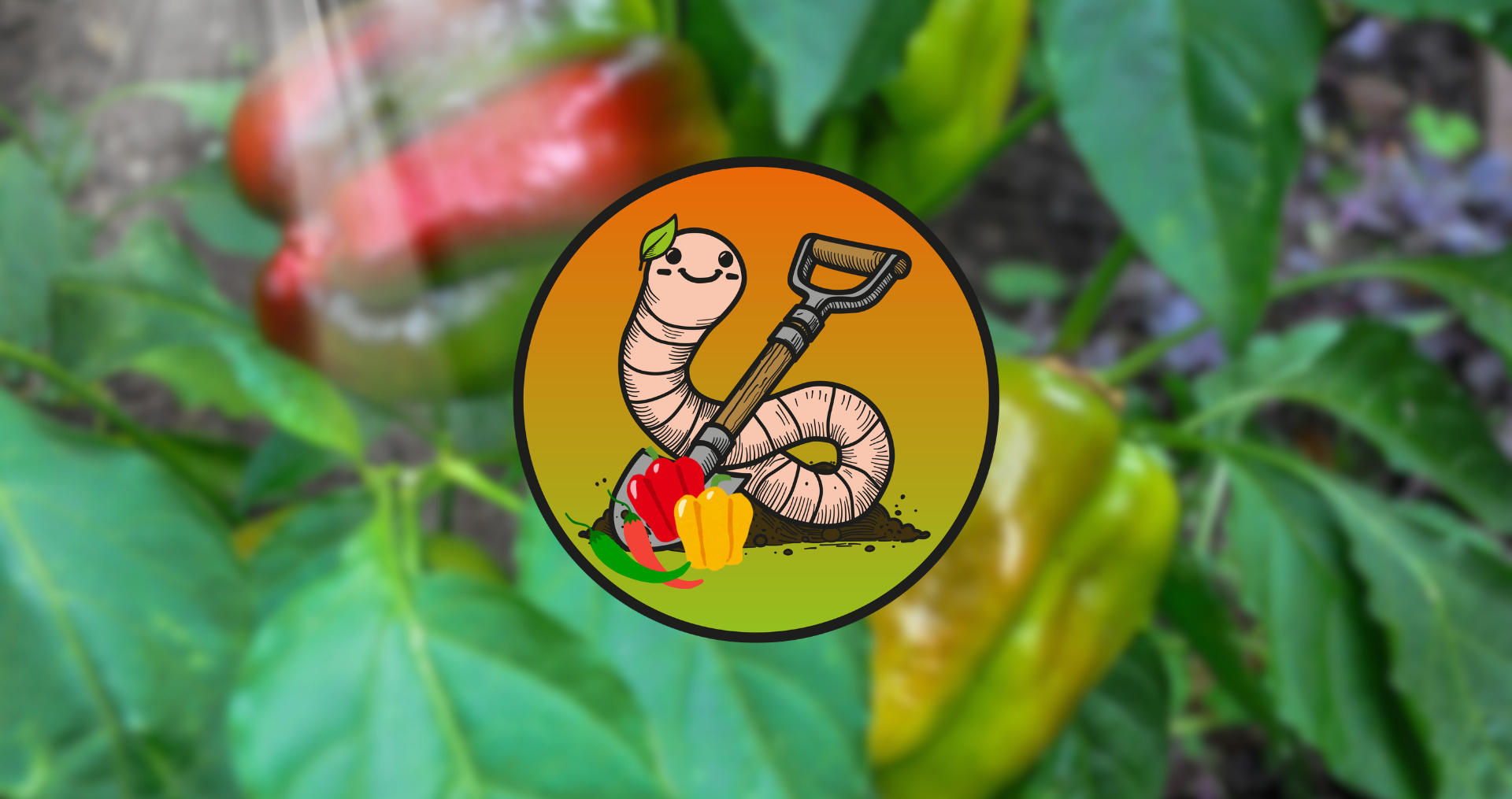 "Warum bist du so scharf?" – Ein Gespräch im Gewächshaus